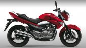 2013 Suzuki Inazuma 250 photo